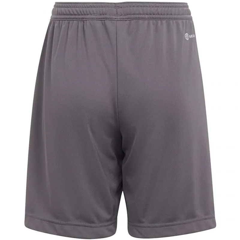 Adidas Junior Entrada 22 Shorts - Gray