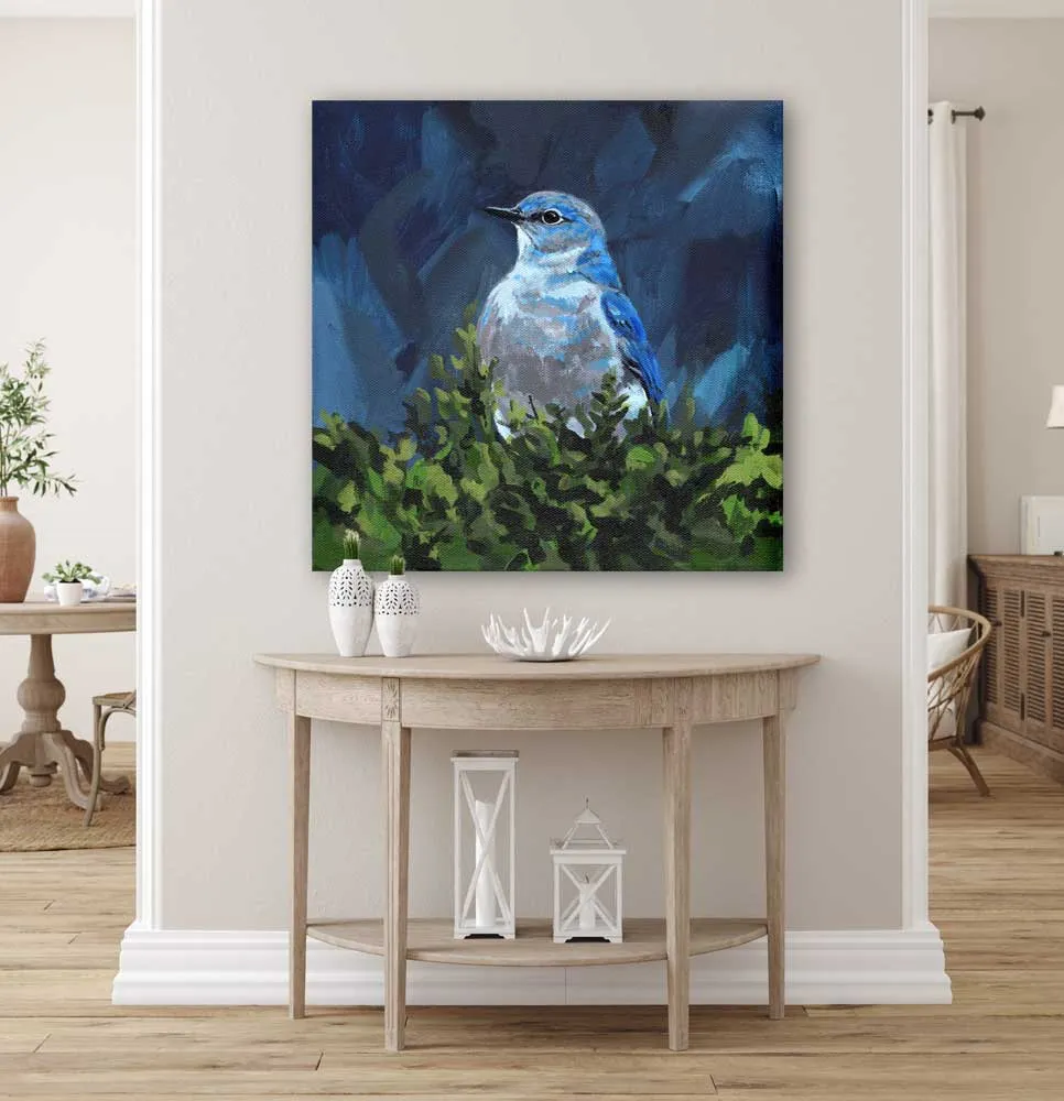 Avian Spotlight - Bluebird Canvas Wall Art