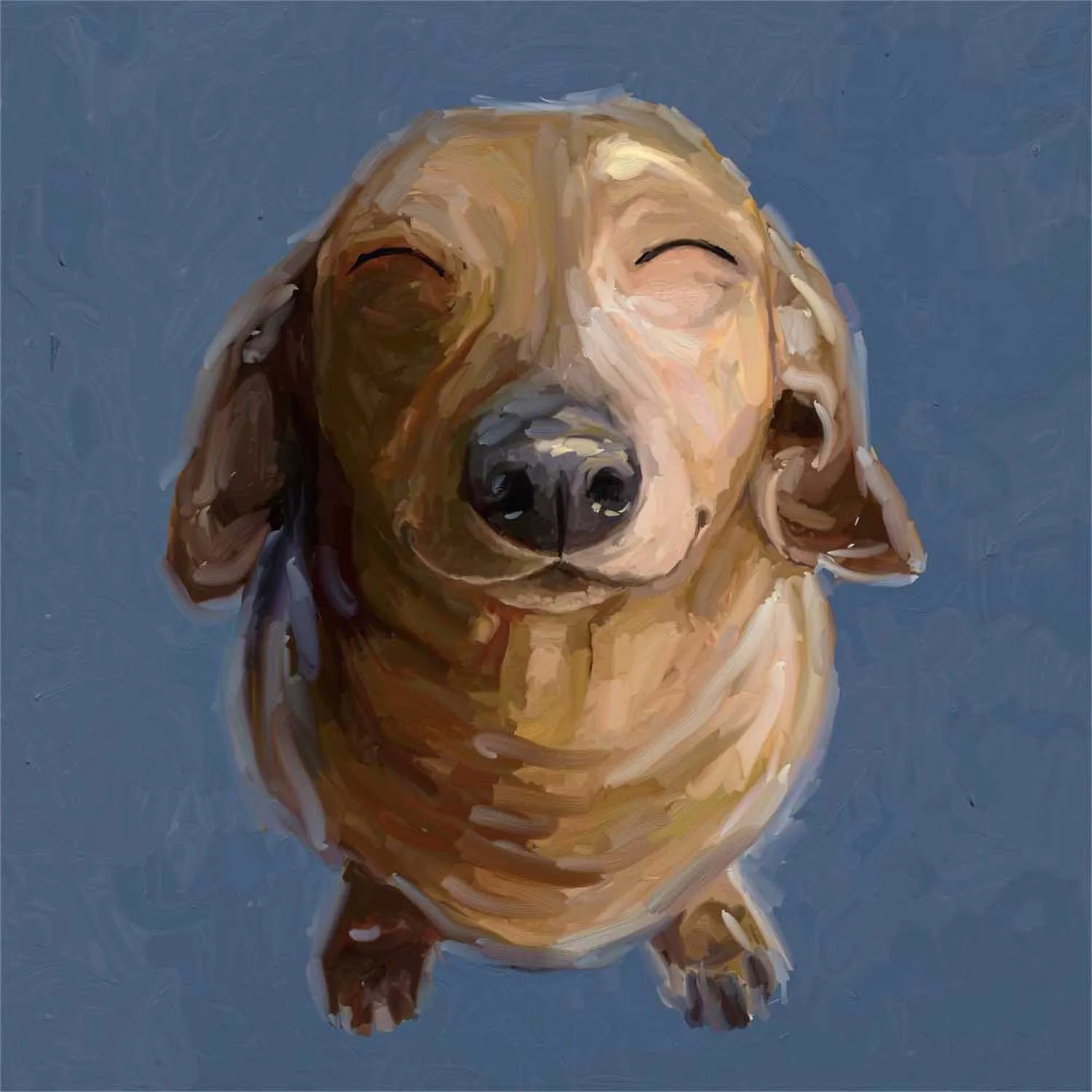 Best Friend - Sunbathing Doxie Canvas Wall Art