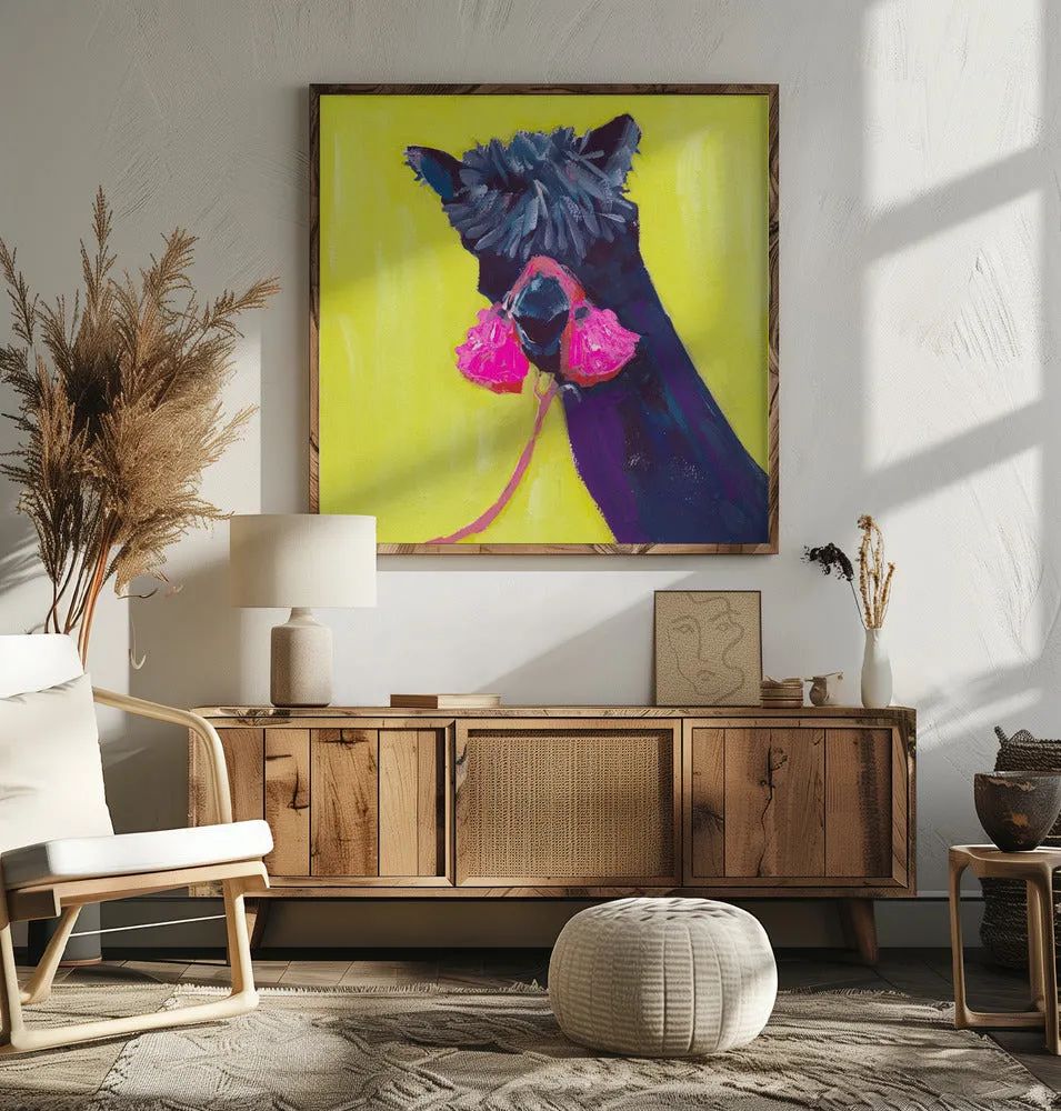 Black Alpaca - Square Stretched Canvas, Poster or Fine Art Print