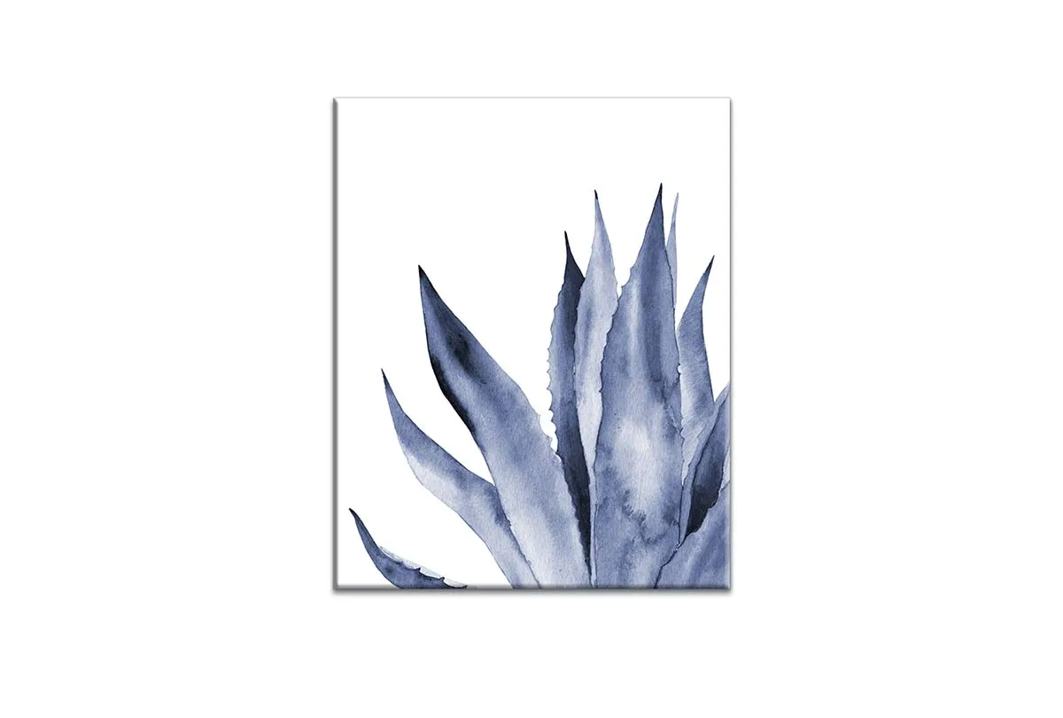 Blue Agave Leaves | Hamptons Canvas Wall Art Print