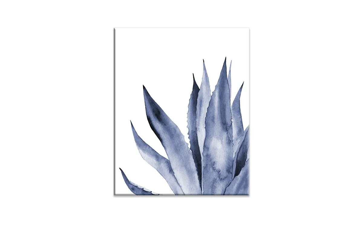 Blue Agave Leaves | Hamptons Canvas Wall Art Print