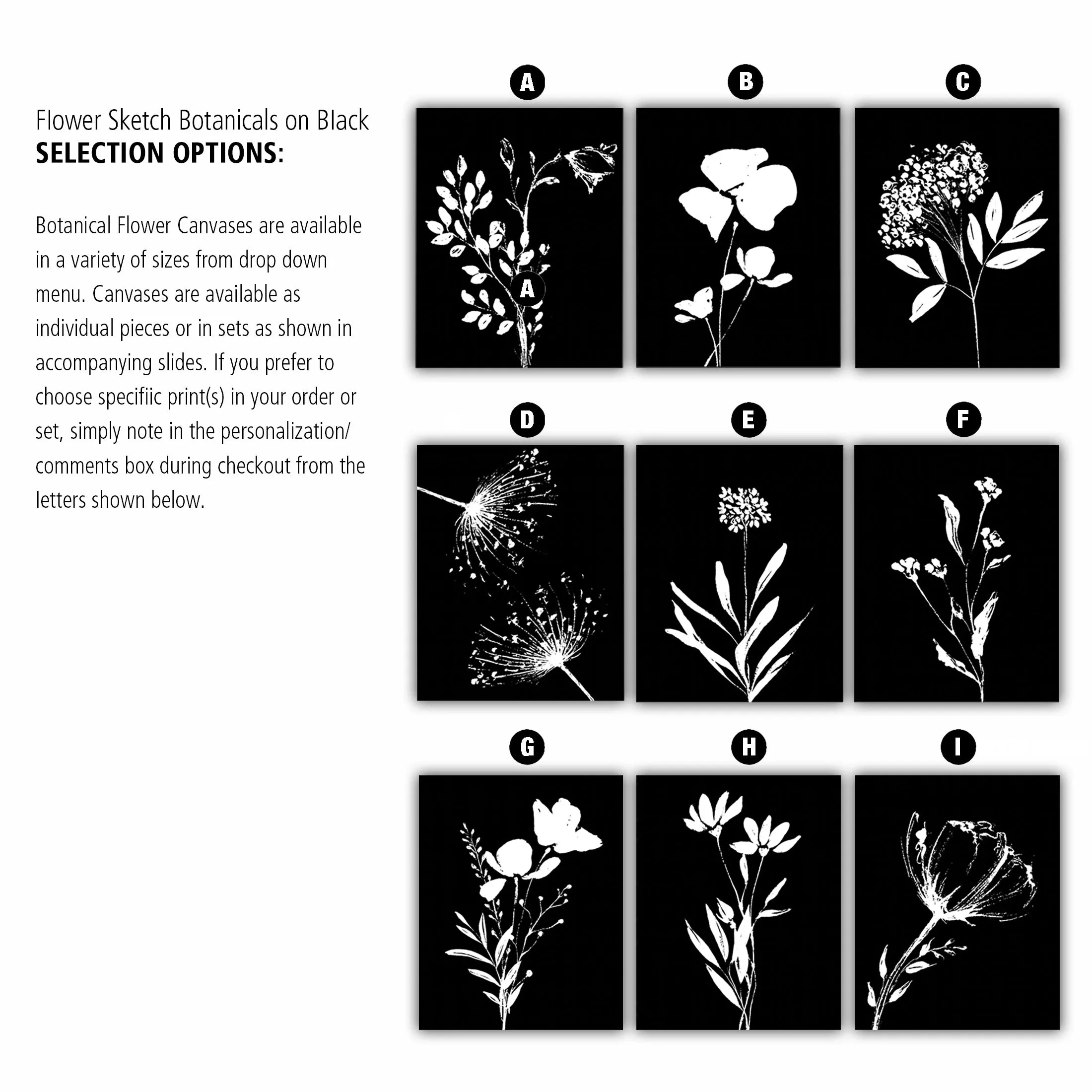 Botanical Flower Sketches on Black Background