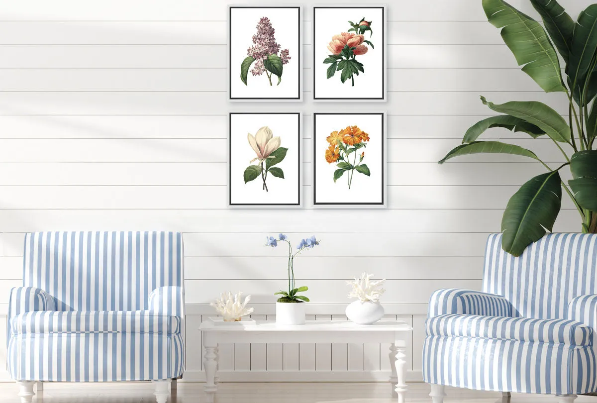 Botanical Illustration Chinese Peony | Botanical Wall Art Print