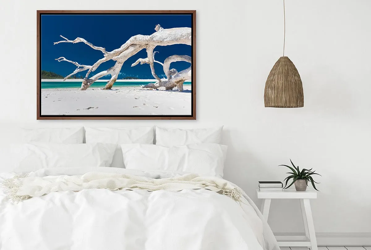 Driftwood, Whitehaven Beach, Australia | Canvas Wall Art Print