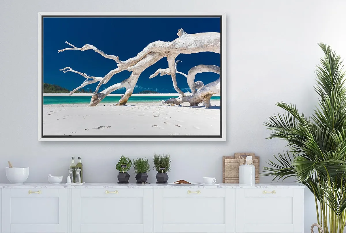 Driftwood, Whitehaven Beach, Australia | Canvas Wall Art Print