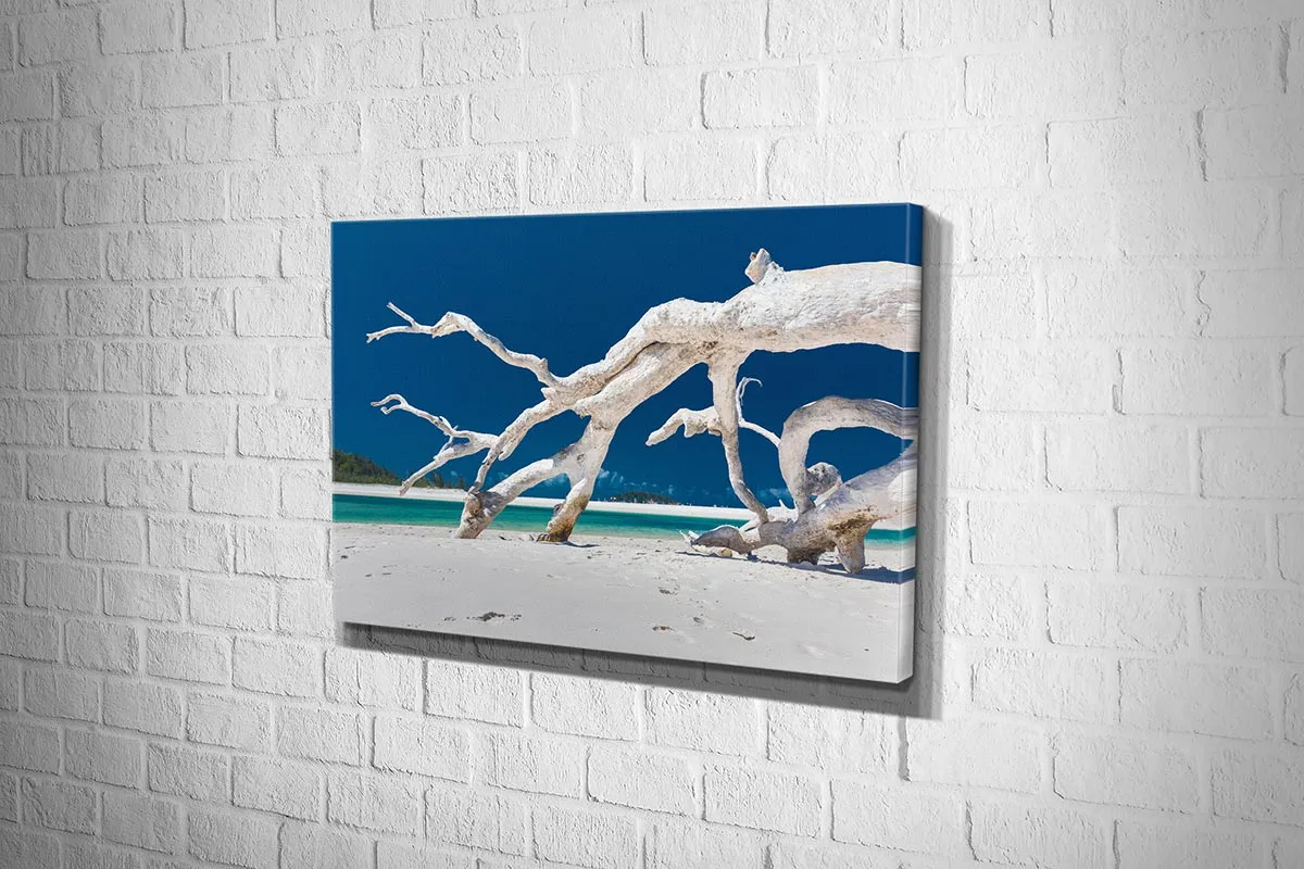 Driftwood, Whitehaven Beach, Australia | Canvas Wall Art Print